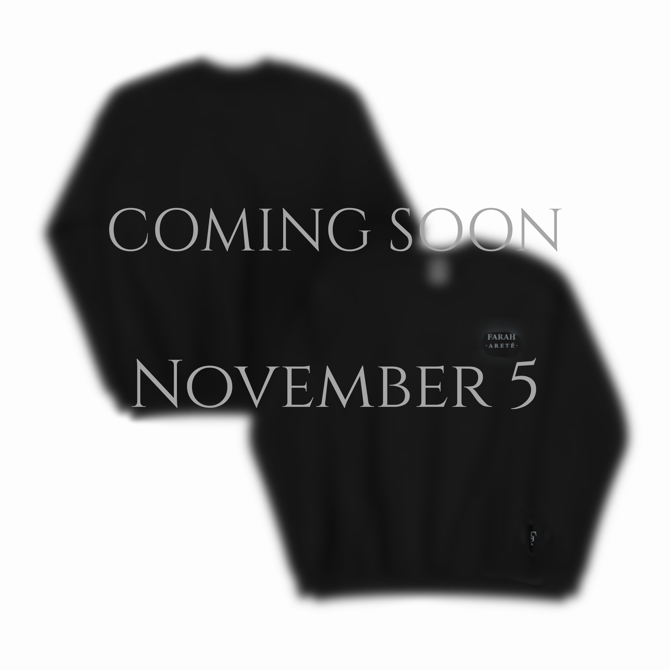 Areté Sweatshirt | Coming Soon