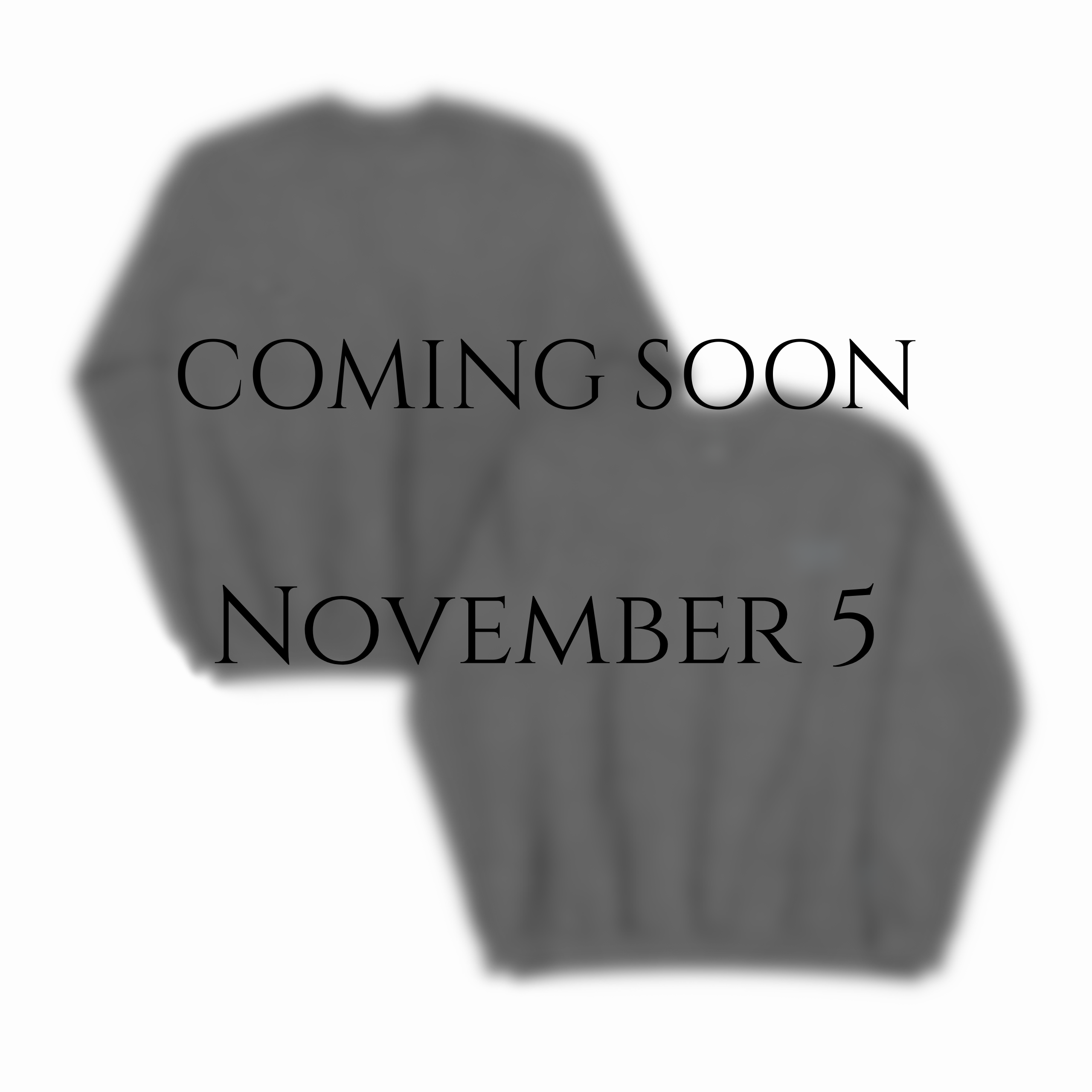Areté Sweatshirt | Coming Soon