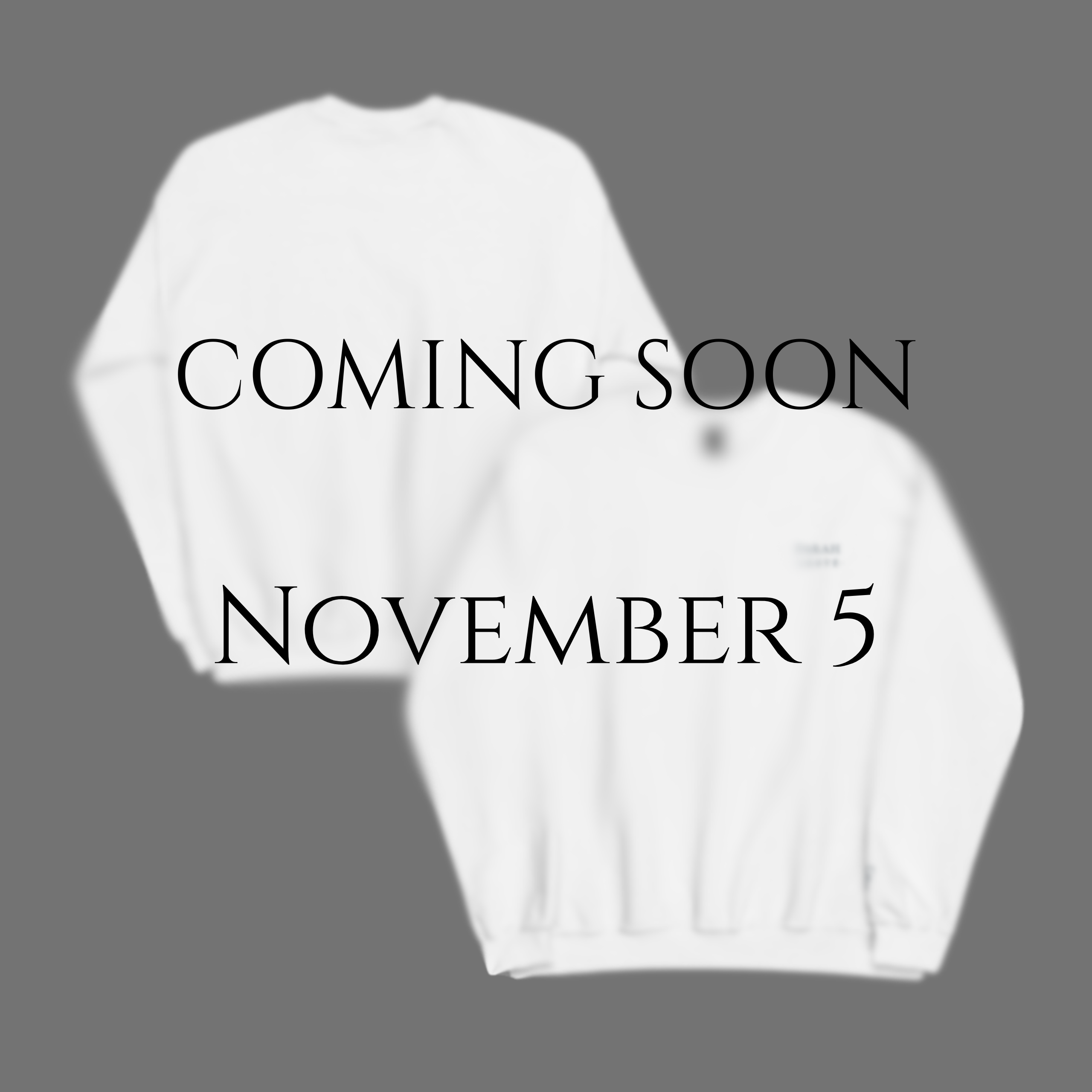 Areté Sweatshirt | Coming Soon